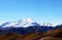Walking with Alpacas in Palcoyo: The Alternative Rainbow Mountain