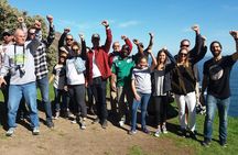 Small Group Cape Of Good Hope Penguins Wine Tasting Inc Park Fees