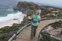 Small Group Cape Of Good Hope Penguins Wine Tasting Inc Park Fees
