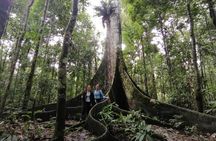Amazing Jungle 3Days 2Nights - Amazon Wonder Expeditions