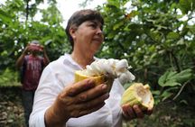 Chocolate & Coffee Farm Experience