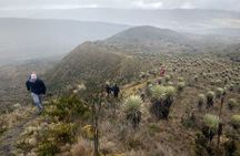 Sumapaz Mountaintop Páramo Trek