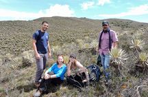 Sumapaz Mountaintop Páramo Trek