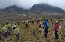 Sumapaz Mountaintop Páramo Trek