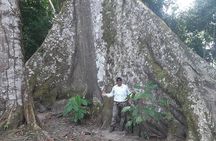 Full Day Trip Amazonas