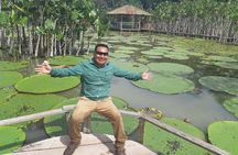 Full Day Trip Amazonas