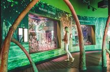 Cairns Aquarium Admission Ticket