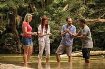 Walkabout Cultural Adventures - Ngana Julaymba Dungay Half Day