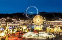 Private 4 days Nami Island&Petite France&Seoul&Everland tour