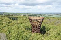 The Forest Tower and Forgotten Giants-A day tour from Copenhagen