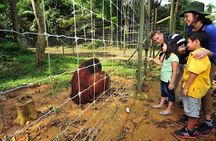 Ipoh Private Day Trip from Kuala Lumpur with Lunch
