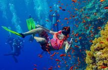 Nakupenda Island Snorkeling Sea trip & Lunch W/Transfer -Zanzibar