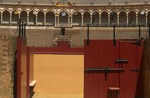 Bullring & Cathedral with Giralda Official guide Priority entrance