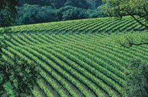 Margaret River Private Tour