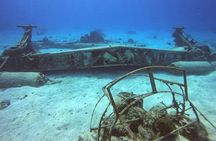 1 Tank Guided Shore Dive