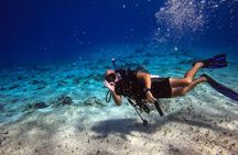 1 Tank Guided Shore Dive