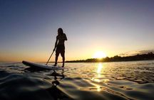 Stand-Up Paddle boarding in Tulum with Snorkeling 1hr