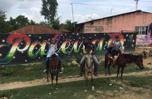 Eco-Tour on Horseback