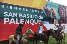 Eco-Tour on Horseback