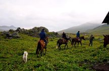 6-day Small Group Adventure Tour in Caucasus Georgia