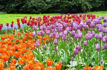 Private Day Trip from Amsterdam to Keukenhof with Entrance Tickets