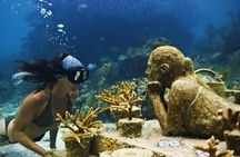 Diving + Muse