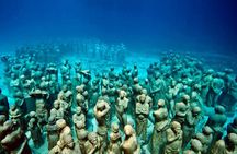 Diving + Muse