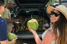  Negril Beach & Rick's Cafe Full Day Tour