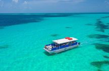 Key West Dolphin Watch and Snorkel Tour - Eco Adventure