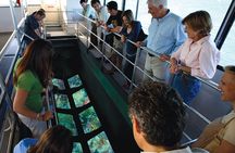 Key West Glass-Bottom Boat Tour with Sunset Option