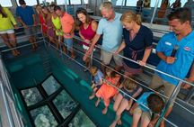 Key West Glass-Bottom Boat Tour with Sunset Option