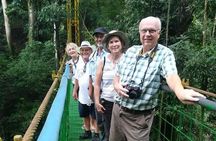 Puntarenas Shore Excursion: Rainforest Hanging Bridges, Skywalk Tour & Boat Tour