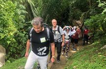 Puntarenas Shore Excursion: Rainforest Hanging Bridges, Skywalk Tour & Boat Tour