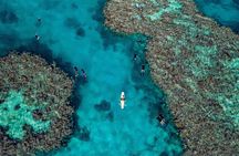 Full Day Snorkel the Great Barrier Reef - From Hamilton Island