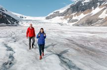 Columbia Icefield Tour with Glacier Skywalk from Calgary