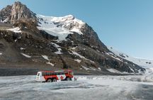 Columbia Icefield Tour with Glacier Skywalk from Calgary