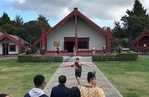 6hr Rotorua Geothermal Wonderland Tour - Departs Tauranga