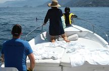 Dolphin Encounter