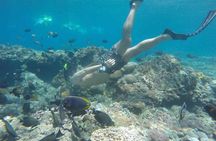 Bali Snorkeling Tour at Blue Lagoon Beach - All-Inclusive