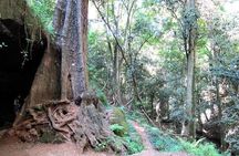 Nairobi Day Tour to Karura Forest Hike, Trail Bike & Nature Walk