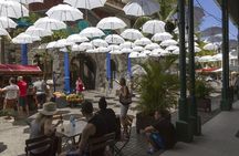 Port Louis and Pamplemousses Garden - A full day trip