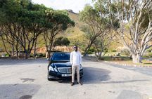 Cape of Good Hope & Boulders Beach Private Tour (Including Lunch)