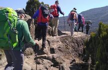 Kilimanjaro Climb- Lemosho Route 