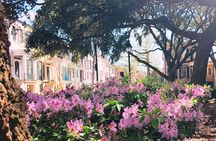Genteel and Bard's Savannah History Walking Tour