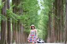 Private Nami Island Photo Shoot and Tour with a Photographer