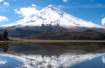 Cotopaxi Volcano from Quito - Private Tours