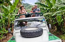 Rainforest Hike & Waterfall Safari St. Lucia From Castries