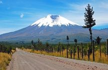Cotopaxi Volcano from Quito - Private Tours