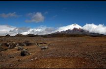 Cotopaxi Volcano from Quito - Private Tours