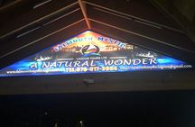 Luminous Lagoon Private Tour